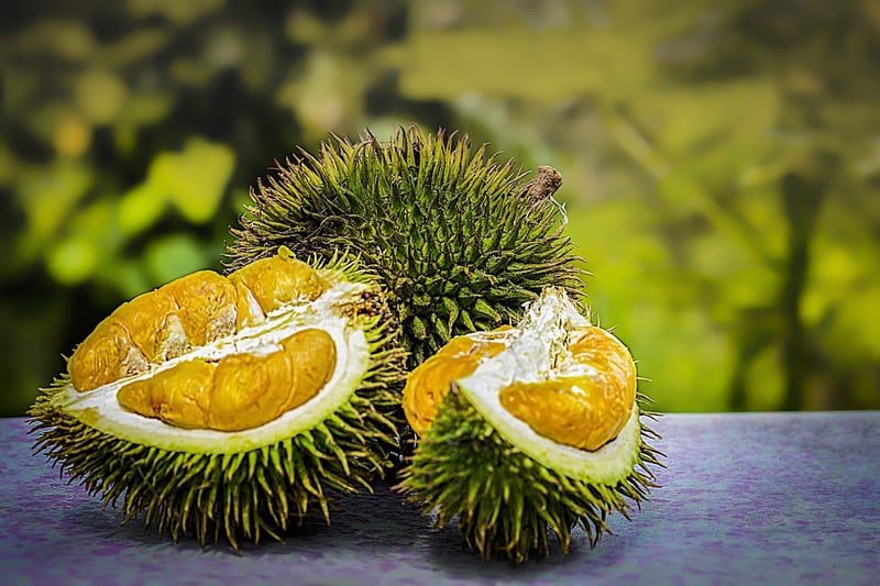 Nutrient Rich